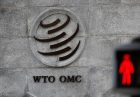 اصلاح ساختاری WTO