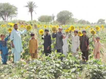 حمایت دولت پاکستان از تولید دانه‌های روغنی اقتصاد مقاومتی