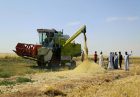 حمایت از کشاورزان در عراق اقتصاد مقاومتی