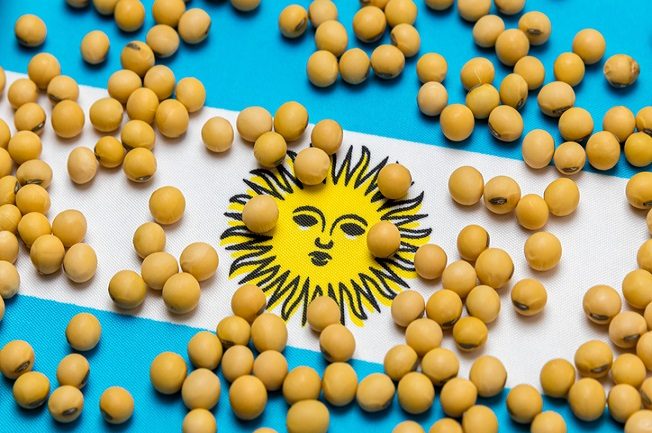 واردات دانه سویا از آرژانتین اقتصاد مقاومتی