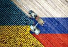 حمایت از صادرات کشاورزی در روسیه اقتصاد مقاومتی