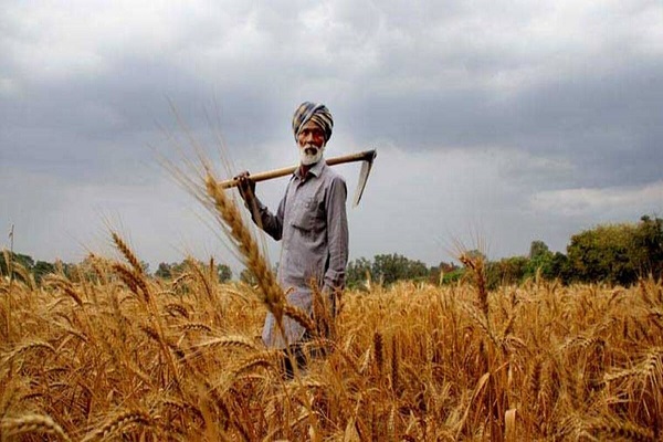 افزایش صادرات گندم+هند+مسیر اقتصاد+اقتصاد مقاومتی