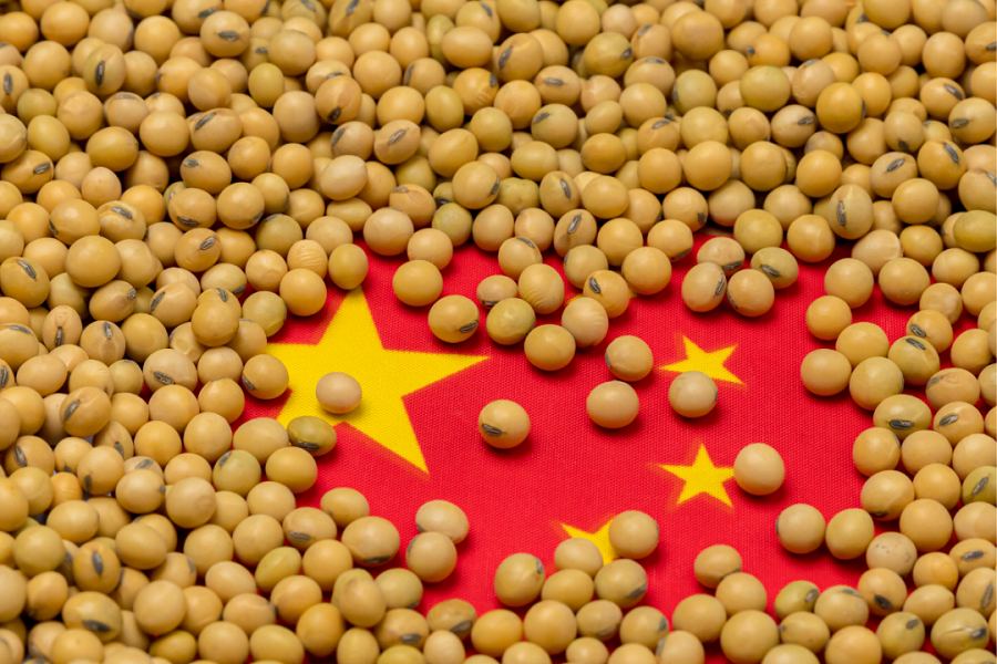 مدیریت واردات دانه سویا چین اقتصاد مقاومتی