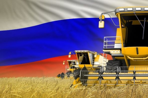 برنامه روسیه برای صادرات غلات و کود شیمیایی به روبل