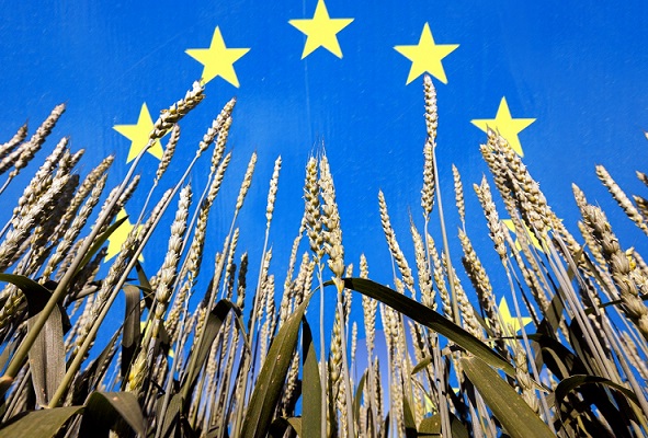 کشاورزی اتحادیه اروپا
