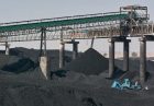 افزایش مصرف زغال سنگ در جهان