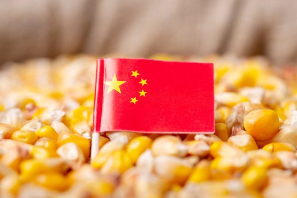امنیت غذایی چین