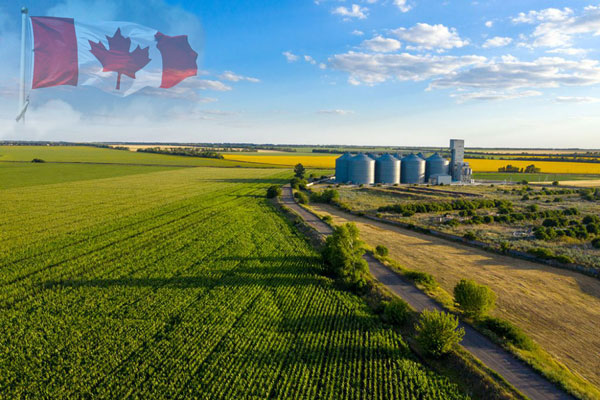 حمایت 3.5 میلیارد دلاری کانادا از کشاورزی با هدف خودکفایی
