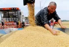تقویت امینت غذایی چین
