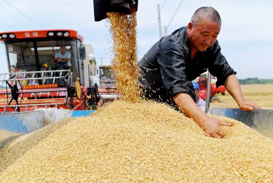 تقویت امینت غذایی چین