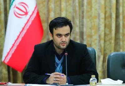 محمد امینی رعیا - دلارزدایی واقعی از اقتصاد ایران