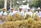 برنامه جامع دولت کره جنوبی برای تامین نیروی کار کشاورزی