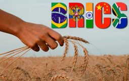 همکاری کشورهای عضو بریکس در زمینه کشاورزی پایدار
