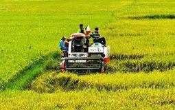 همکاری دو وزارتخانه برای رونق گردشگری کشاورزی و غذایی در فیلیپین