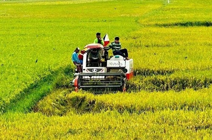 همکاری دو وزارتخانه برای رونق گردشگری کشاورزی و غذایی در فیلیپین