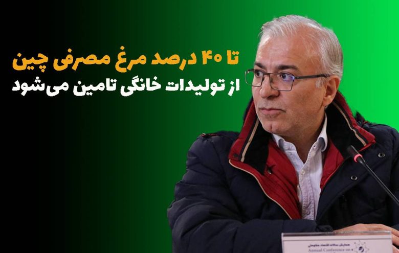 مرغ خانگی - کامبیز بازرگان