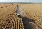 استانبول در مسیر خودکفایی کشاورزی با بذر بومی