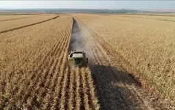 استانبول در مسیر خودکفایی کشاورزی با بذر بومی