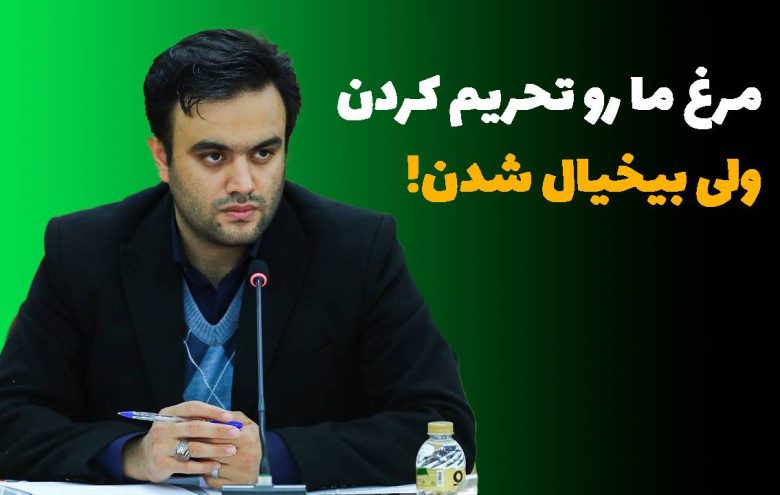 مرغ آرین محمد امینی رعیا