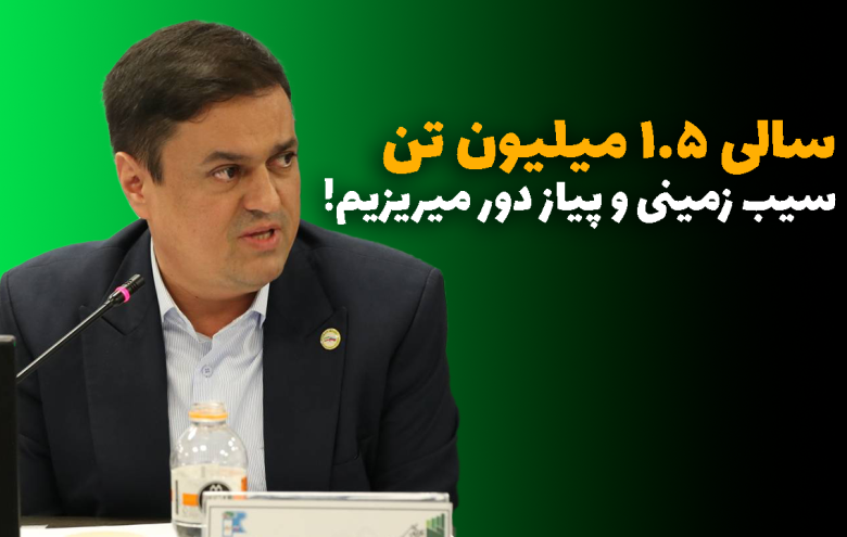سیدرضا رفیعی _ سیب زمینی