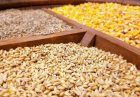 واردات کالاهای اساسی کشاورزی