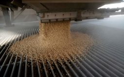 واردات سویا چین از آمریکا