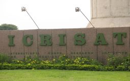 ایکریست و سورگوم