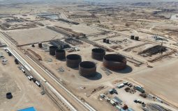 ارزیابی الگوی طرح‌های پتروشیمی در ایران