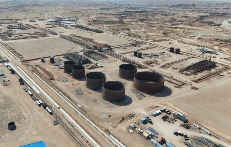 ارزیابی الگوی طرح‌های پتروشیمی در ایران