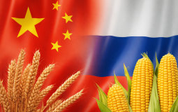 کشاورزی روسیه و چین