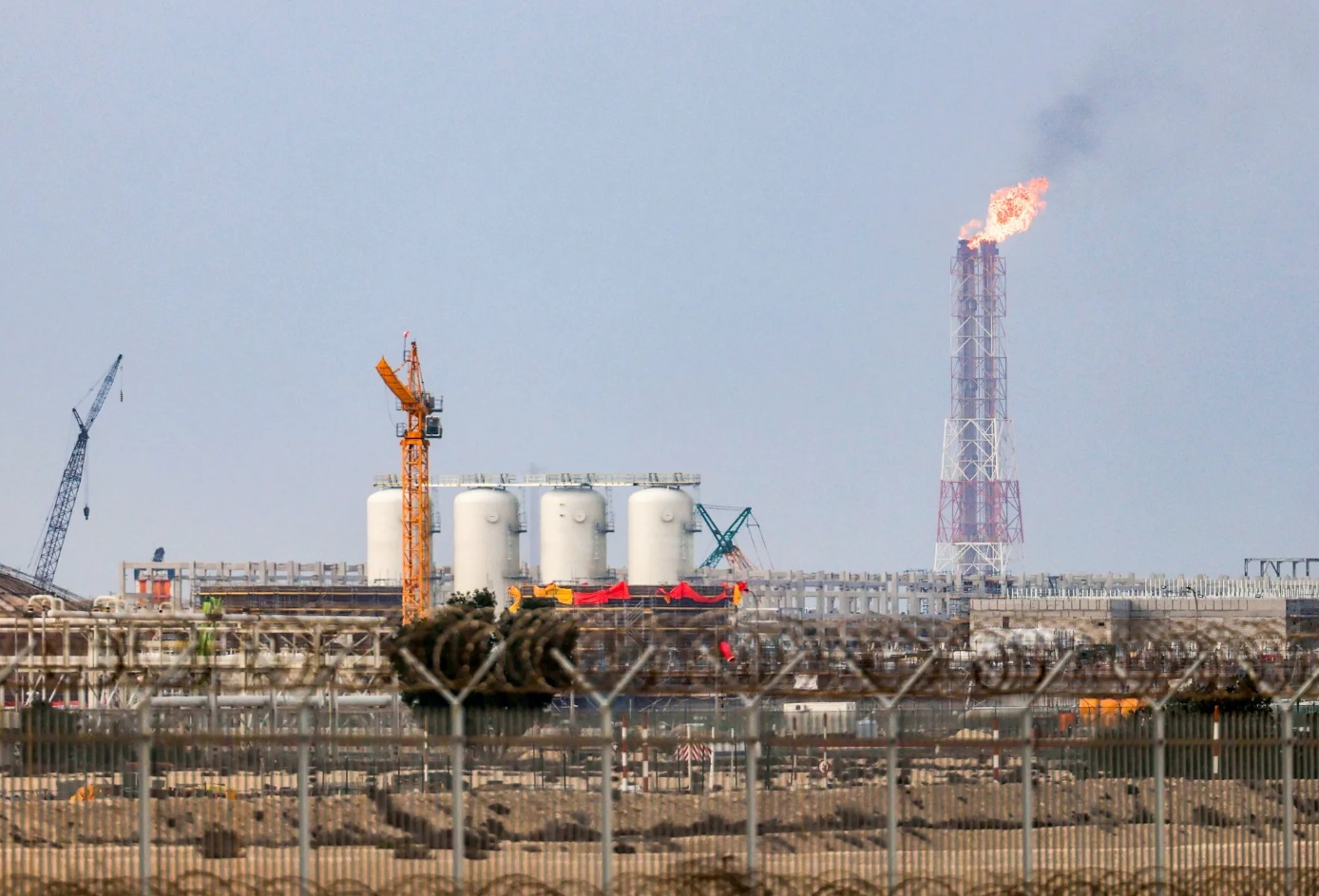 صادرات LNG قطر