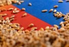 واردات غلات ایران از روسیه