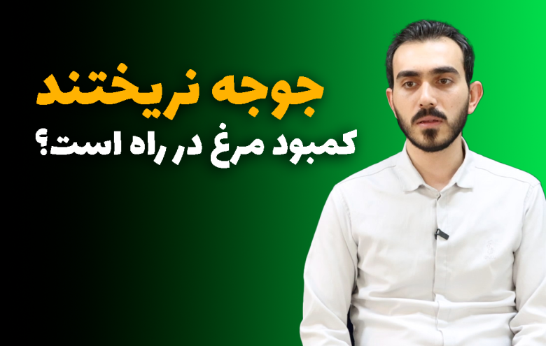 مهدی خداوردی _ کمبود مرغ