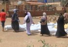 تنگه هرمز و خطر امنیت غذایی در جهان