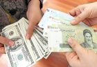 رشد نقدینگی و نرخ ارز کدام عامل تورم است؟