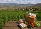 تورم روستا بیشتر از شهر